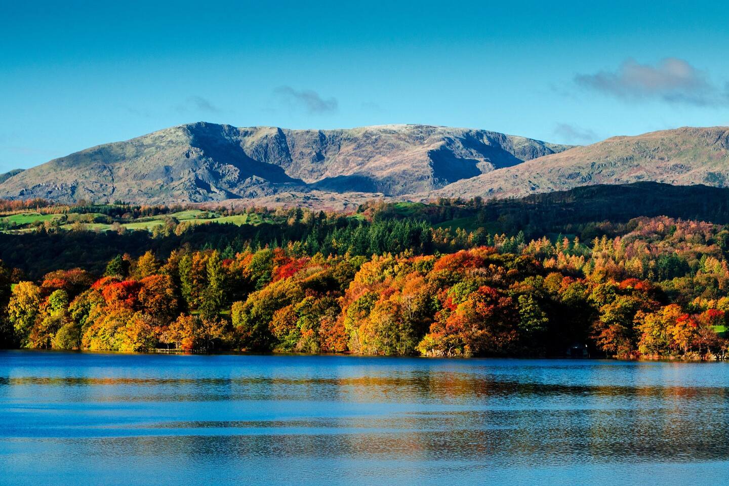 Autumn colour on the wooded shore of Lake Windermere